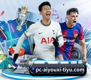 五大服务分区,信息按项目分类 - AYX tiyu